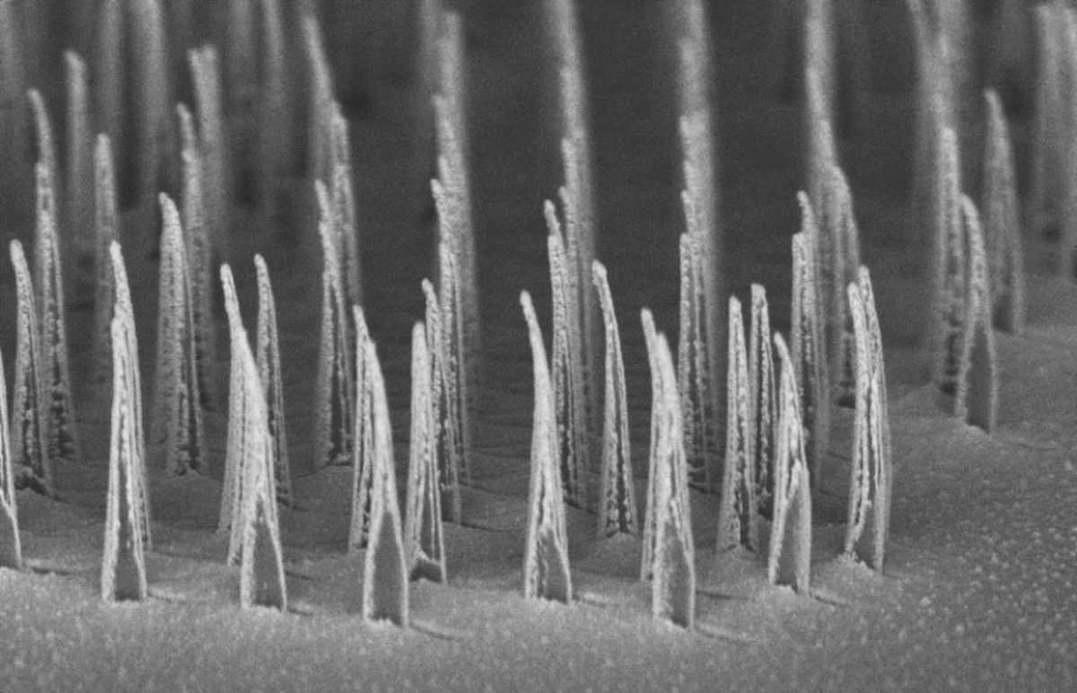 Genes Can Have Up To 80 Percent >> Nanostructures Created By Ucla Scientists Could Make Gene Therapies Genes Can Have Up To 80 Percent >> Nanostructures Created By Ucla Scientists Could Make Gene Therapies