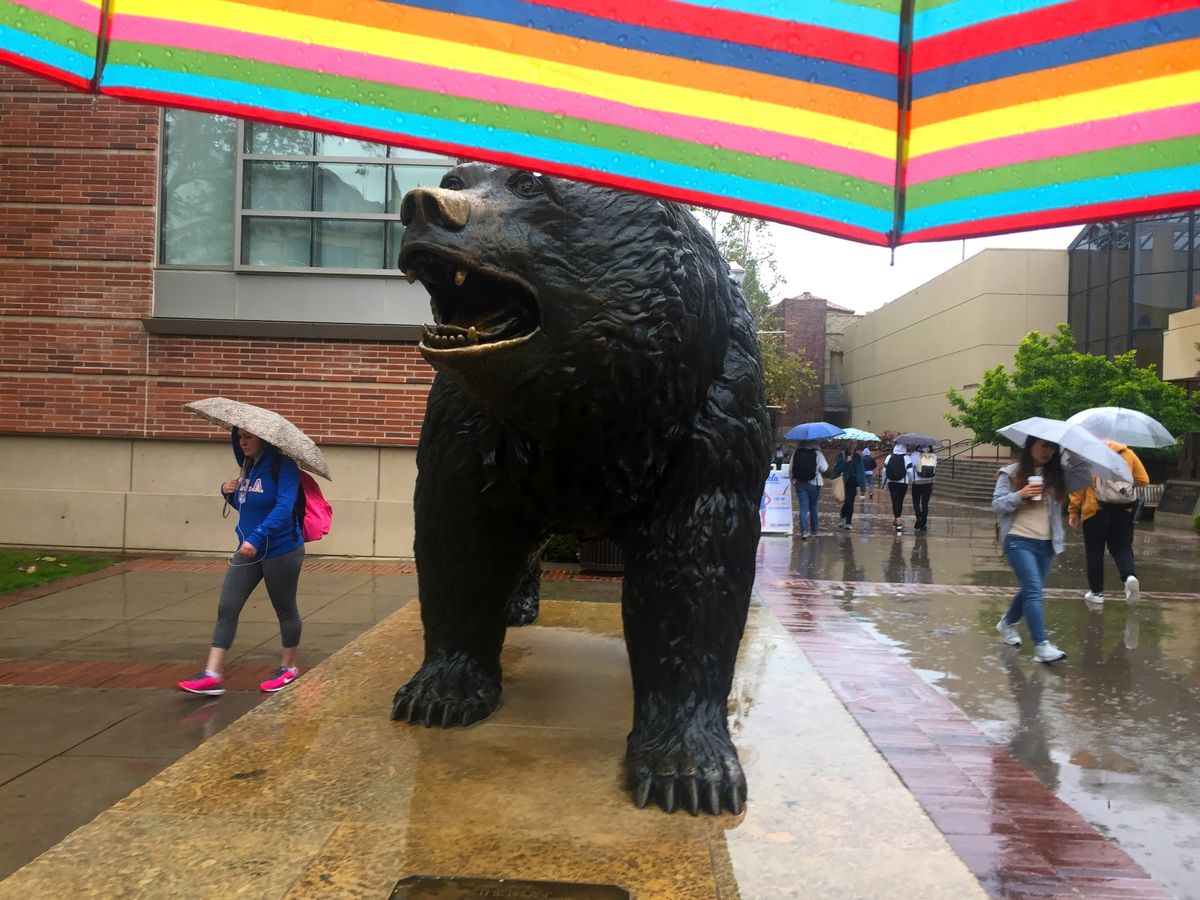 Rainy day near Bruin Bear