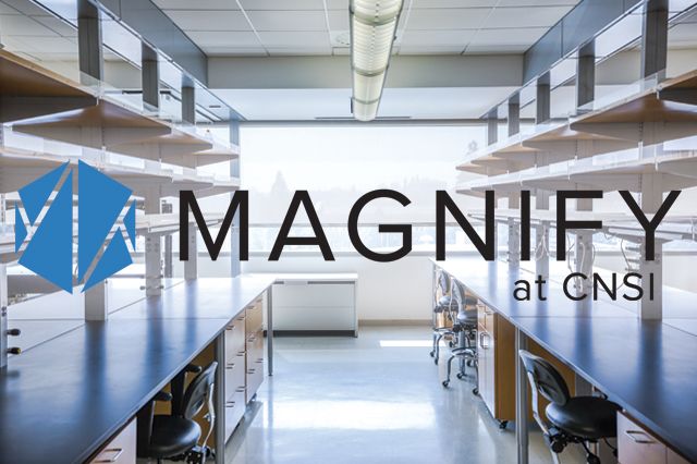 Magnify CNSI