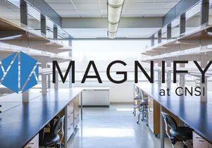 Magnify CNSI