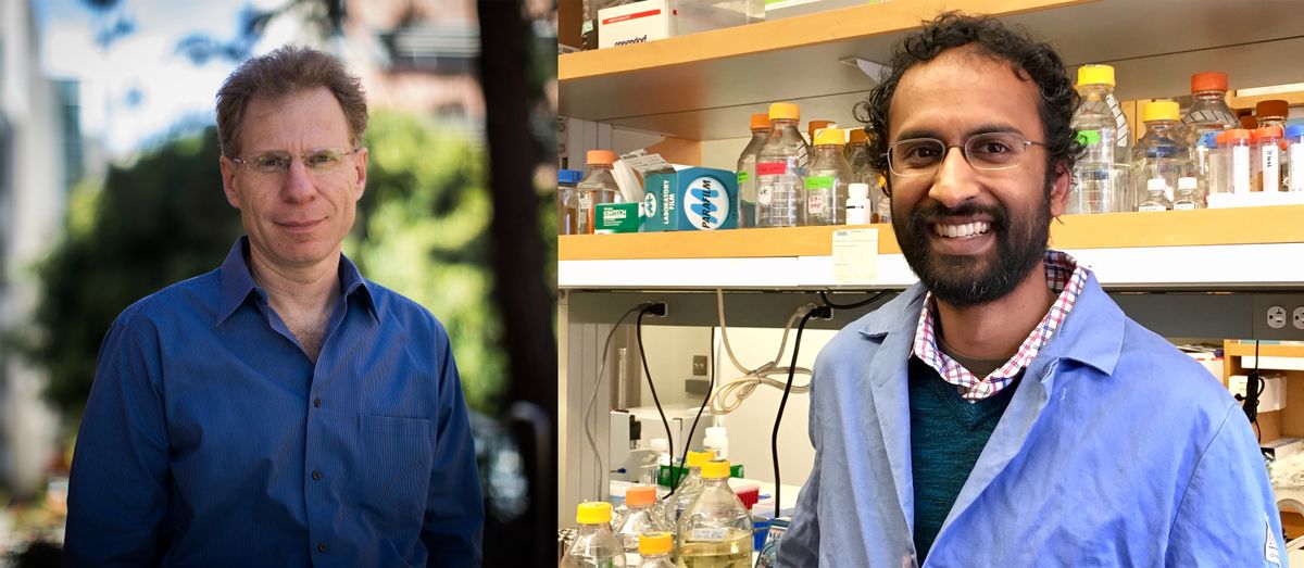 Leonid Kruglyak, left, and Meru Sadhu