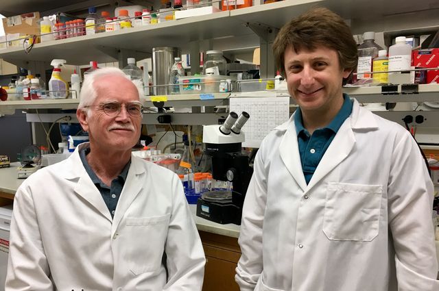 UCLA researchers Jake Lusis, left, and Marcus Seldin