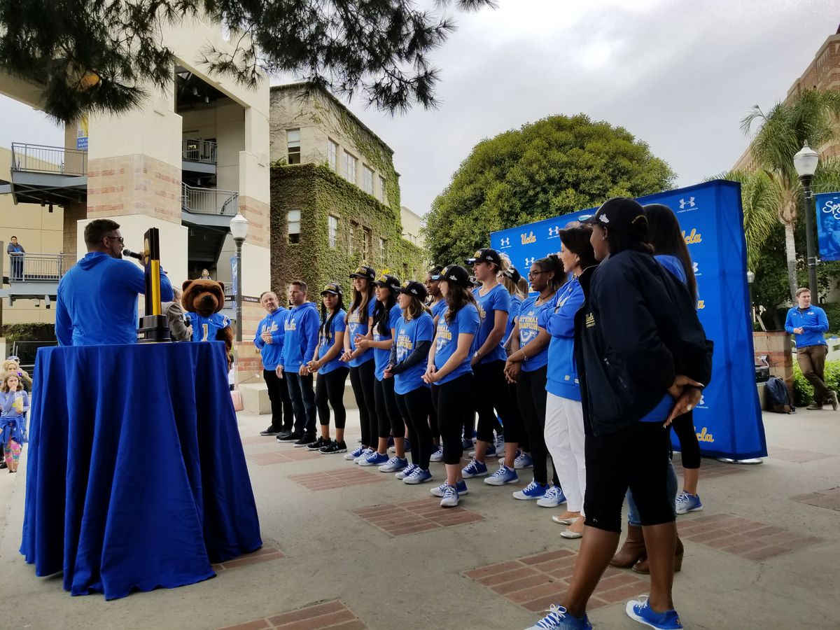 Gymnastics team champions