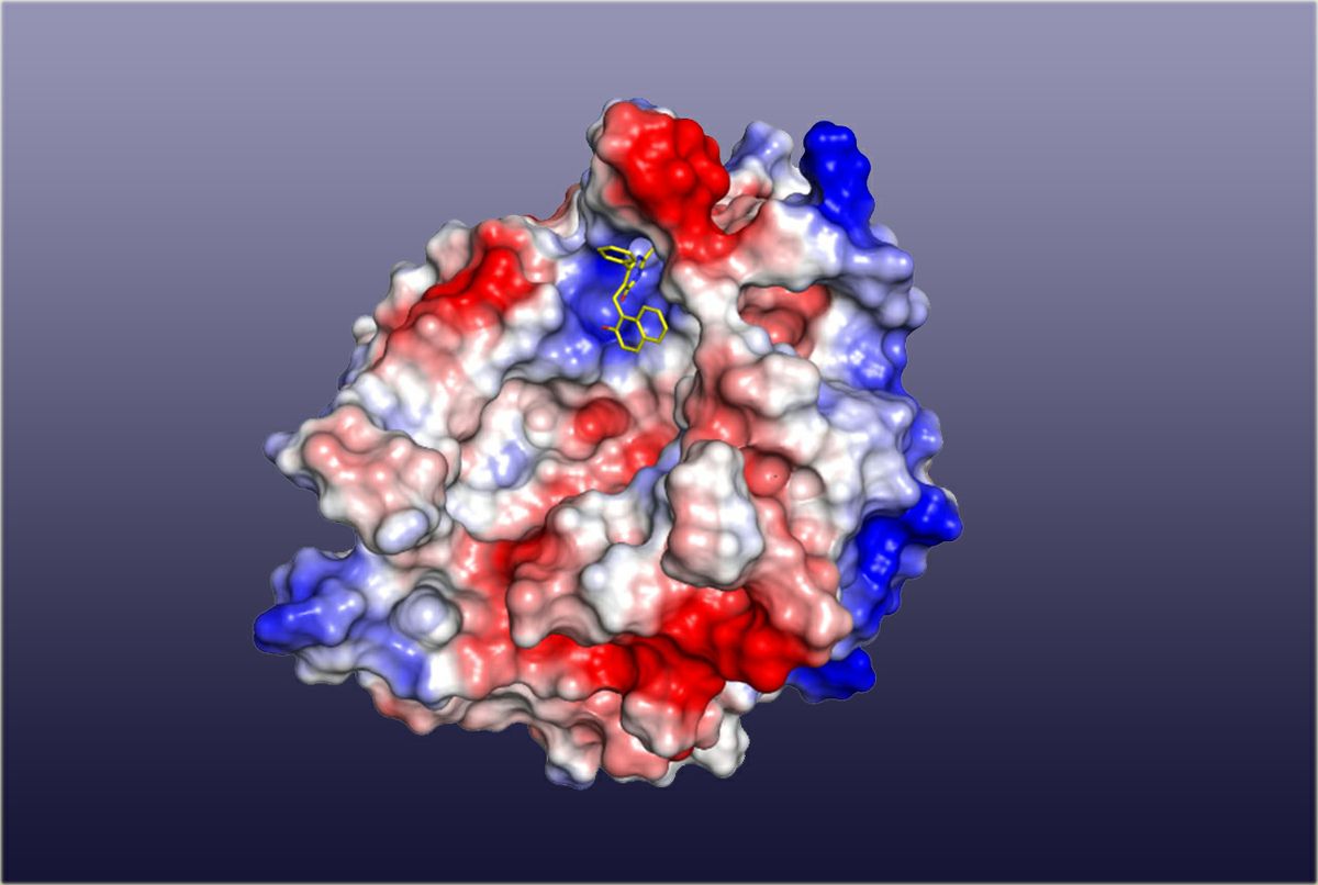 Could Modified Alzheimers Drug Treat >> How A Small Molecule Halts The Spread Of A Toxic Protein Associated Could Modified Alzheimers Drug Treat >> How A Small Molecule Halts The Spread Of A Toxic Protein Associated