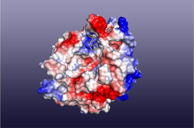 nSMAse2 joins cambinol