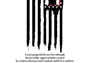 Legislative Theatre Flag Flyer