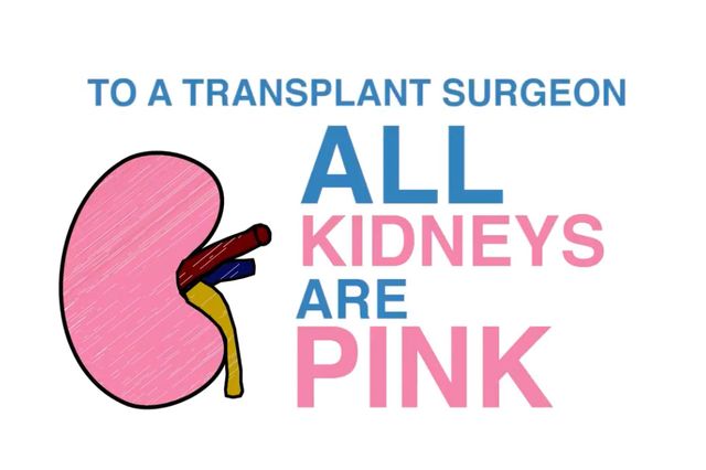 All Kidneys are Pink graphic