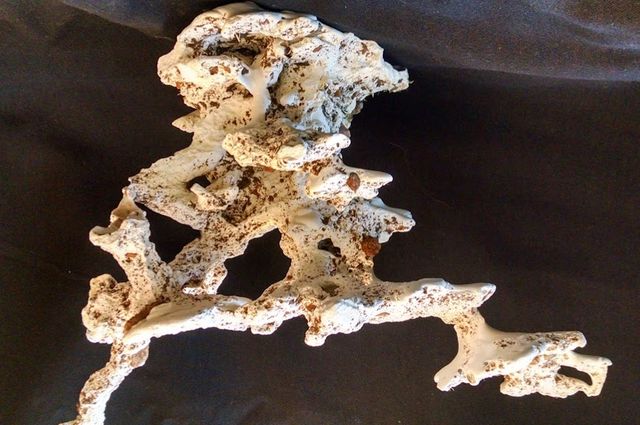 Plaster cast of ant colony nest