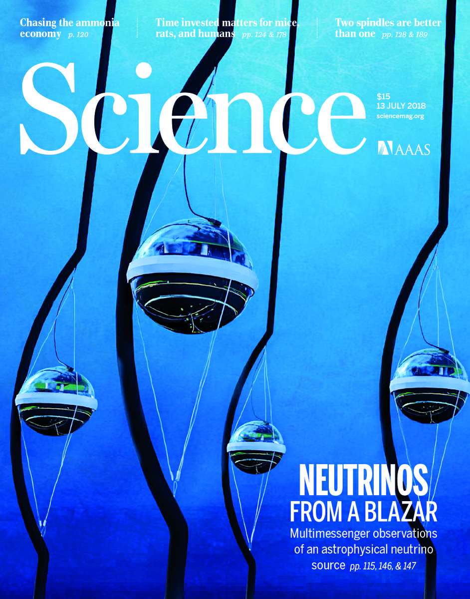 Science cover July 2018