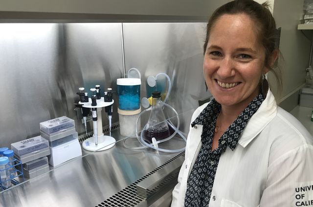 Dr. Elizabeth Tarling