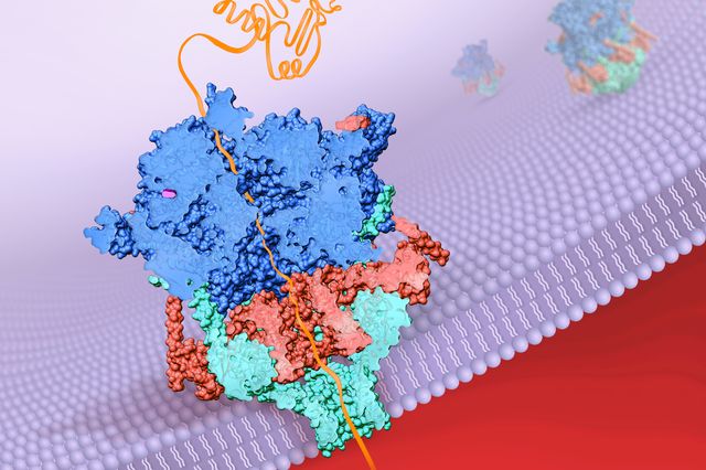 Protein image 3D