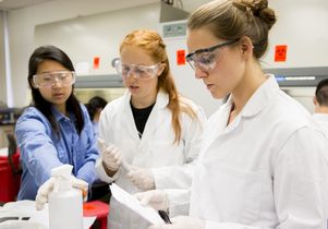 UCLA researchers in lab