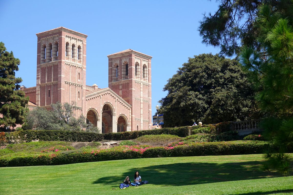 Summer day on the lawn
