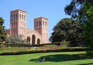Summer day on the lawn