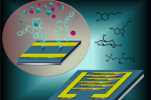 Detecting neurotransmitters