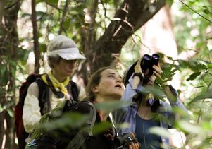 UCLA capuchin researchers