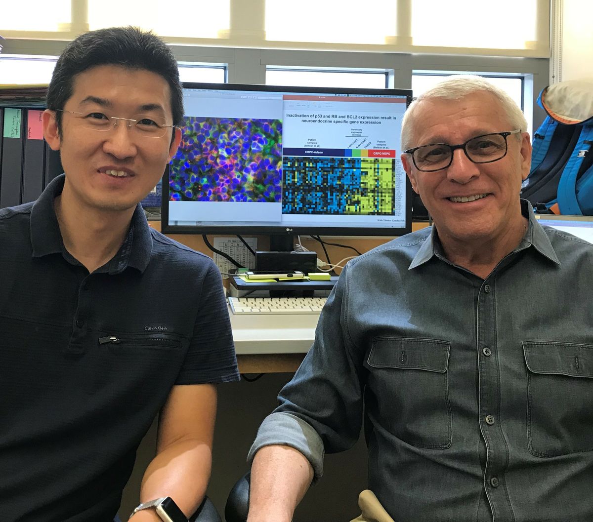 Jung Wook Park and Owen Witte