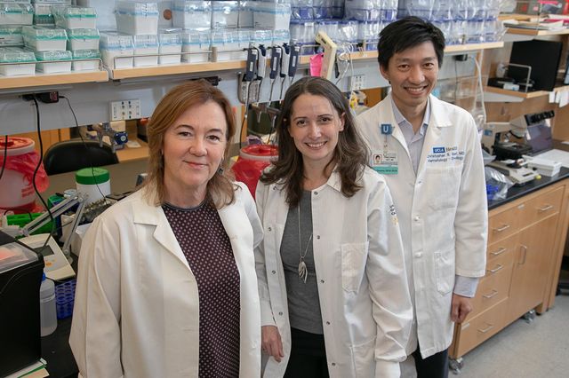 Crooks Montel-Hagen and Seet