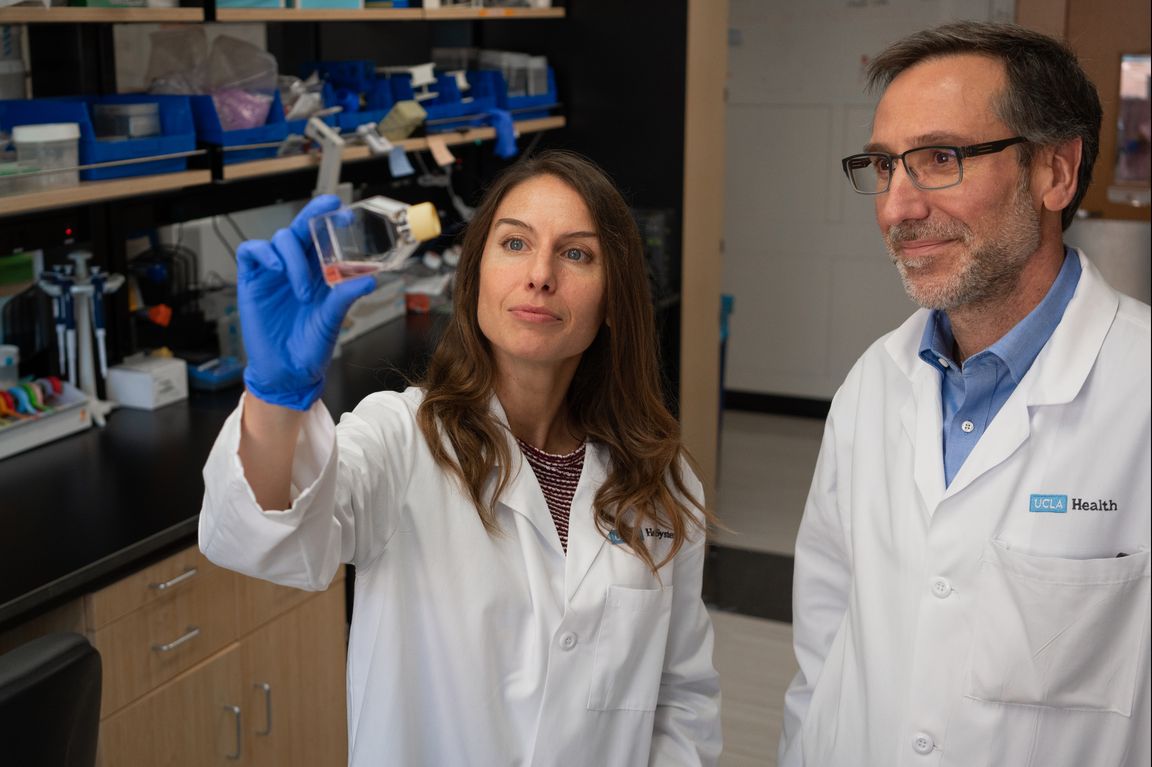 Ribas and Parisi UCLA