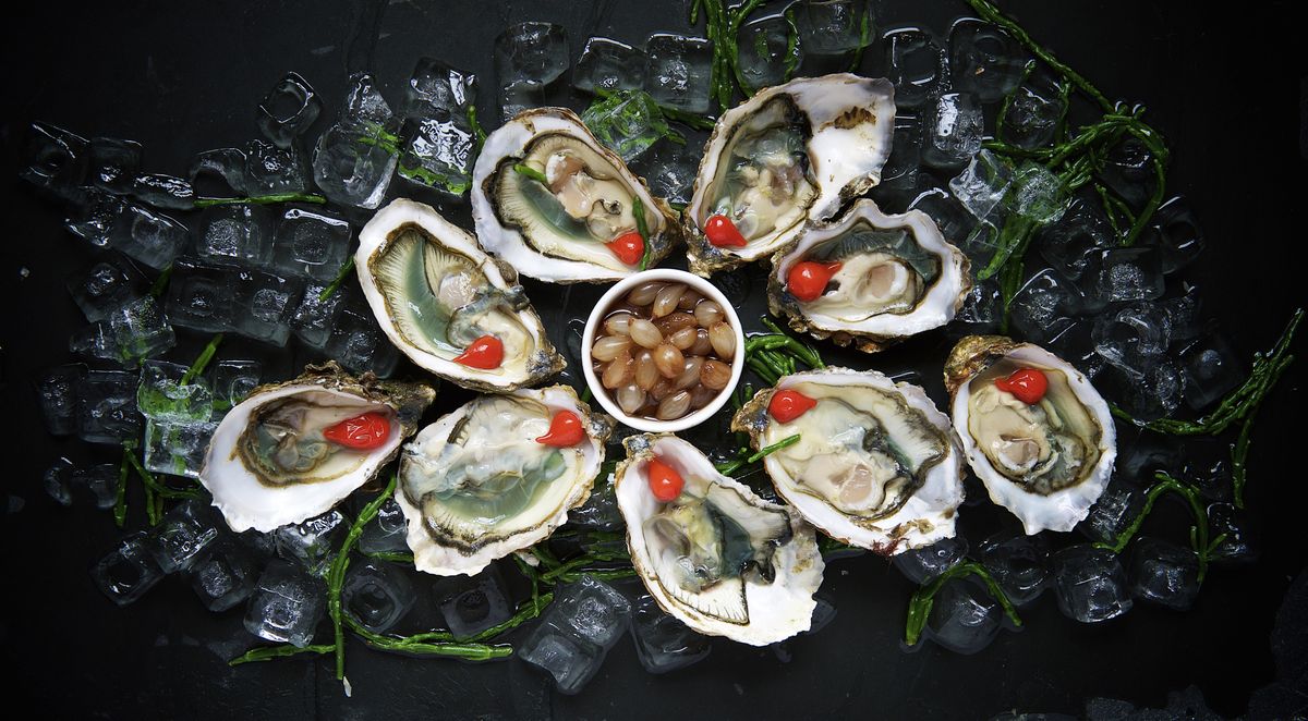 Oysters on ice