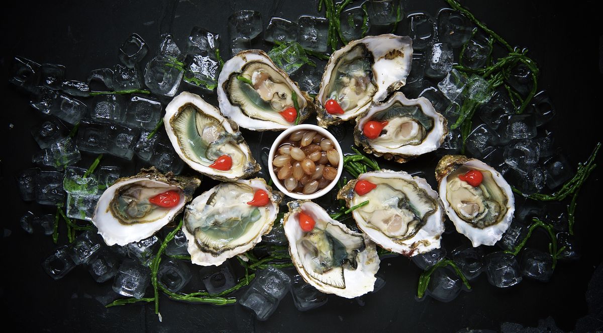 Oysters on ice