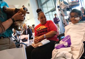 UCLA Mattel Children’s Hospital - Kinkajou