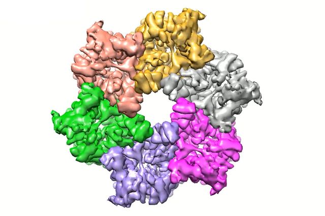 Urea channel closed structure