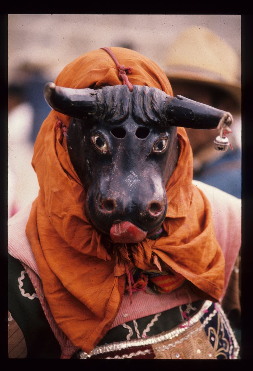 Torito, Bull Dace of Toritos