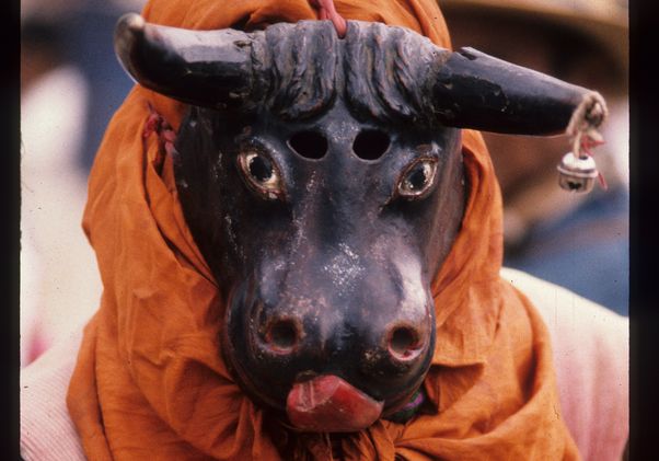 Click to open the large image: Torito, Bull Dace of Toritos