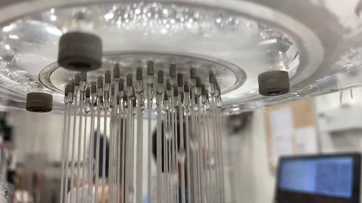 Water capture system