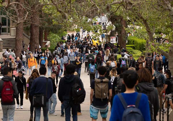 Bruin Walk