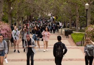 Bruin Walk