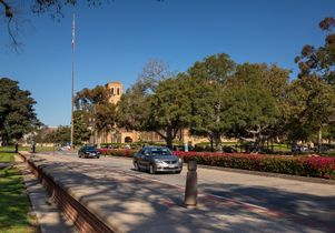 Arroyo Bridge