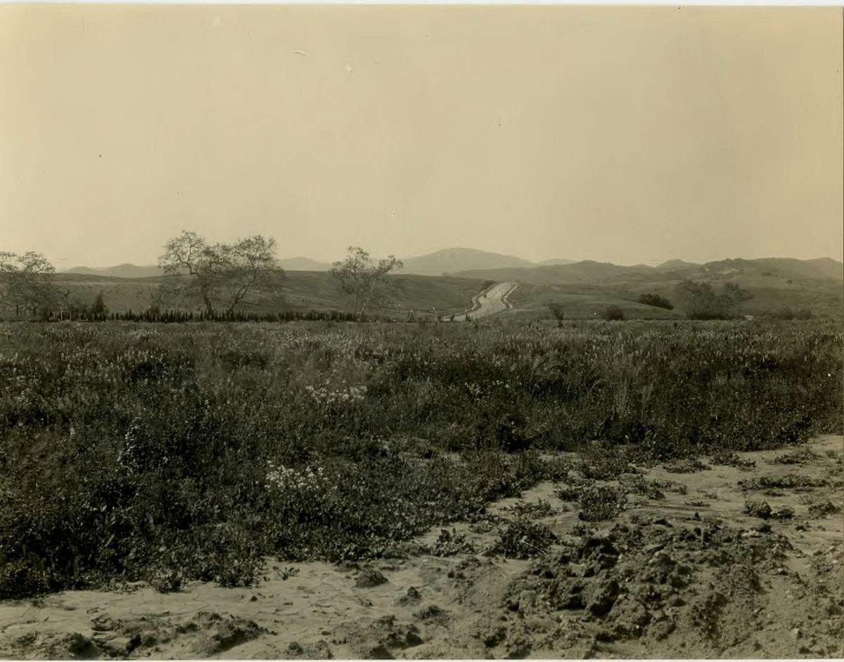 Westwood campus 1929