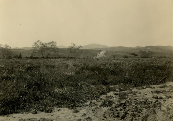 Westwood campus 1929