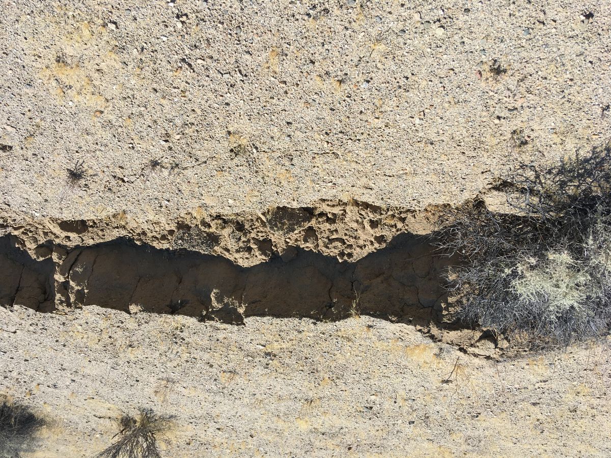 Ridgecrest - desert rupture