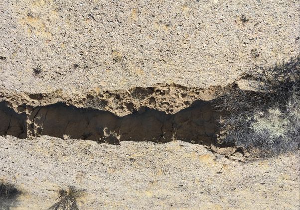 Ridgecrest - desert rupture