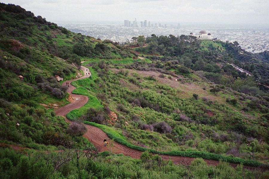 Griffith Park vista