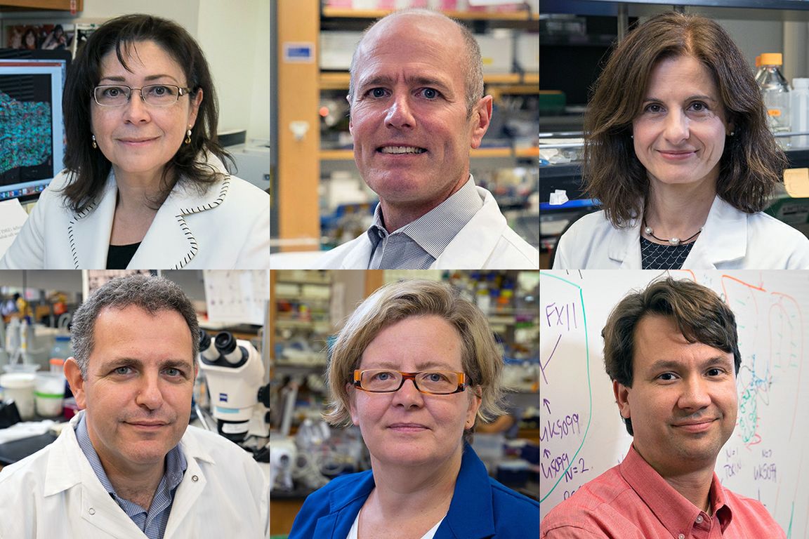 Alzheimers research team