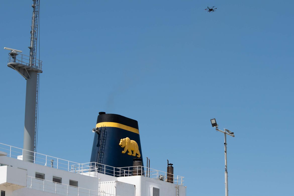 Drone and Golden Bear