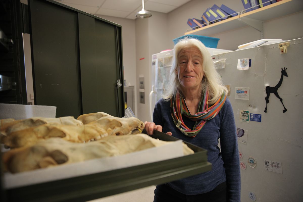 Blaire Van Valkenburgh