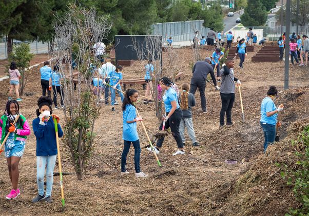 UCLA Volunteer Day 2019