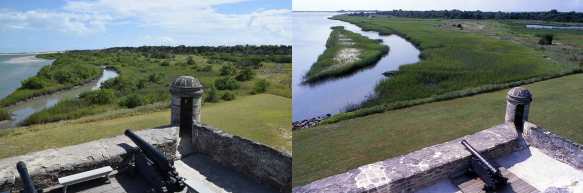 Mangroves comparison
