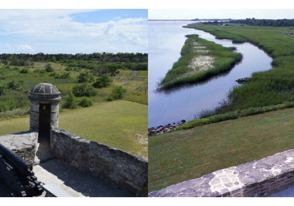 Mangroves comparison