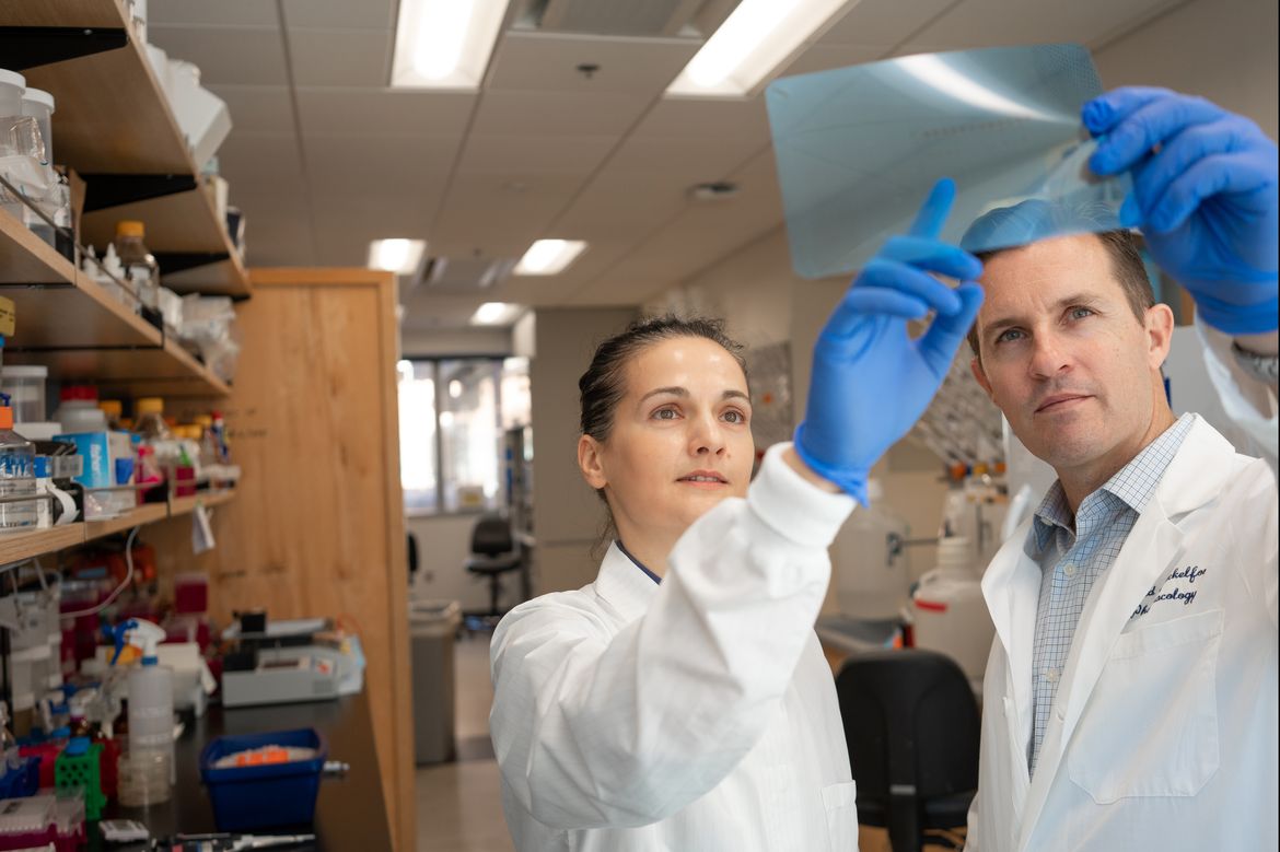 Milica Momcilovic and David Shackelford