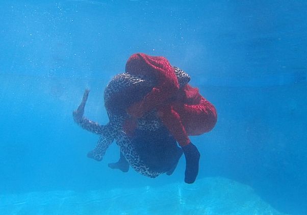 “Aragonite Stars”