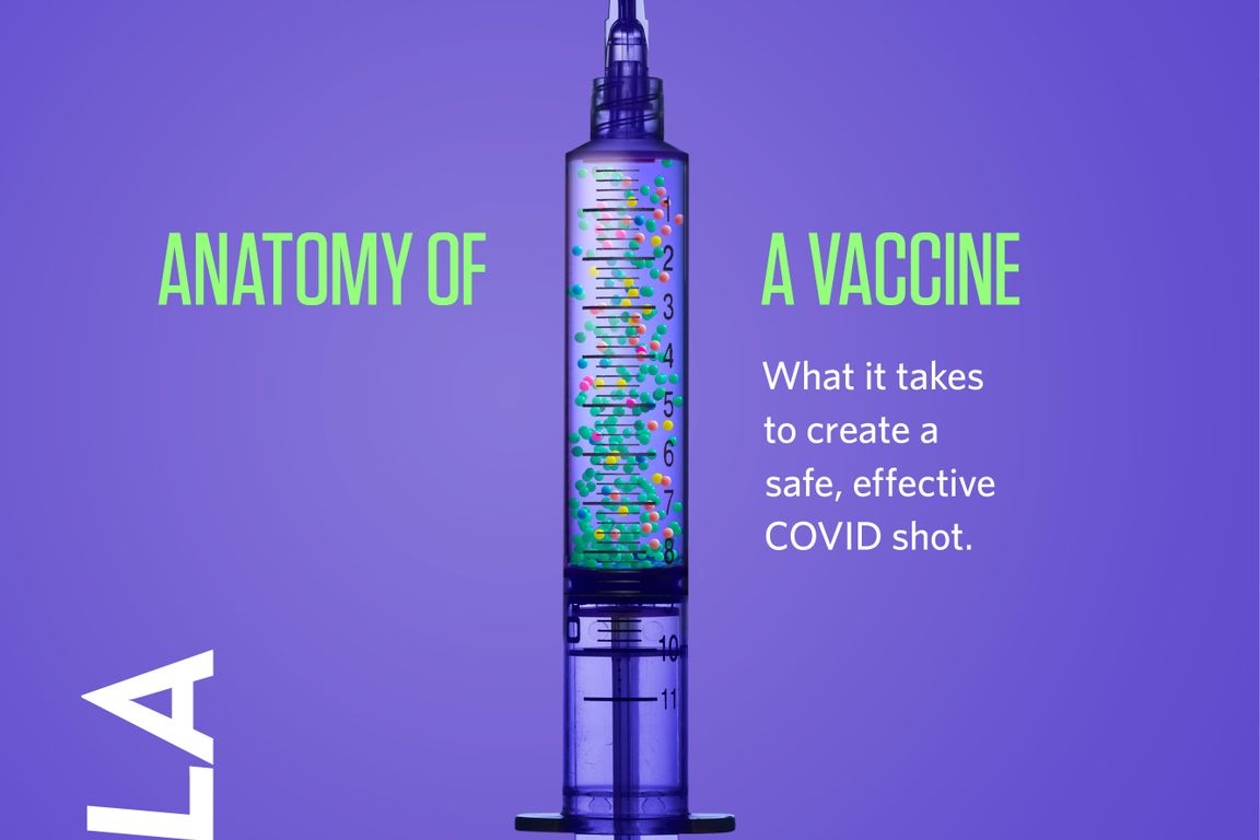 UCLA Magazine January 2021