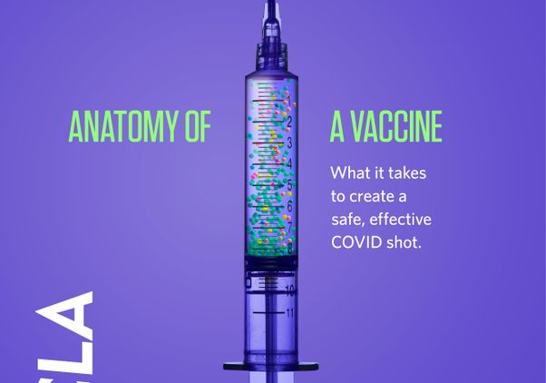 UCLA Magazine January 2021