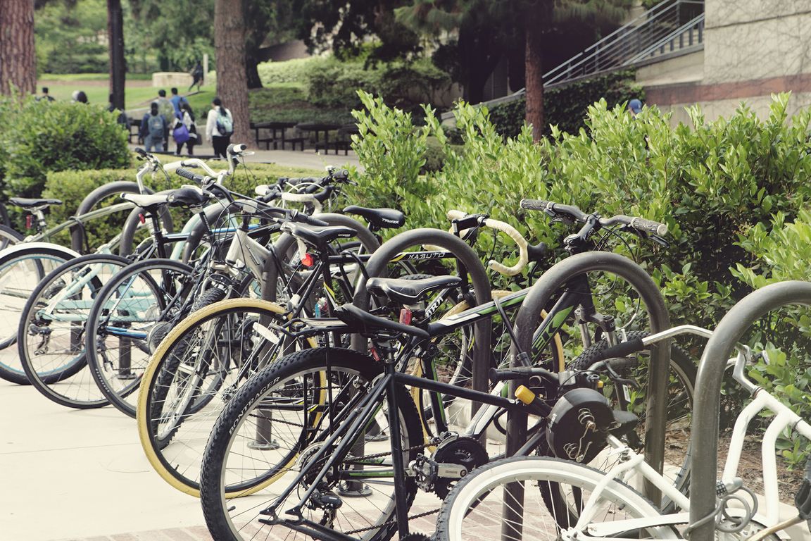Bicycles on campus