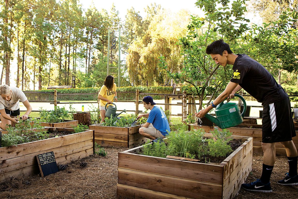 Student Community Garden